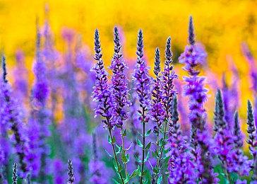 狂降100欧元！SIE又在欧洲开启了新一轮PS5促销